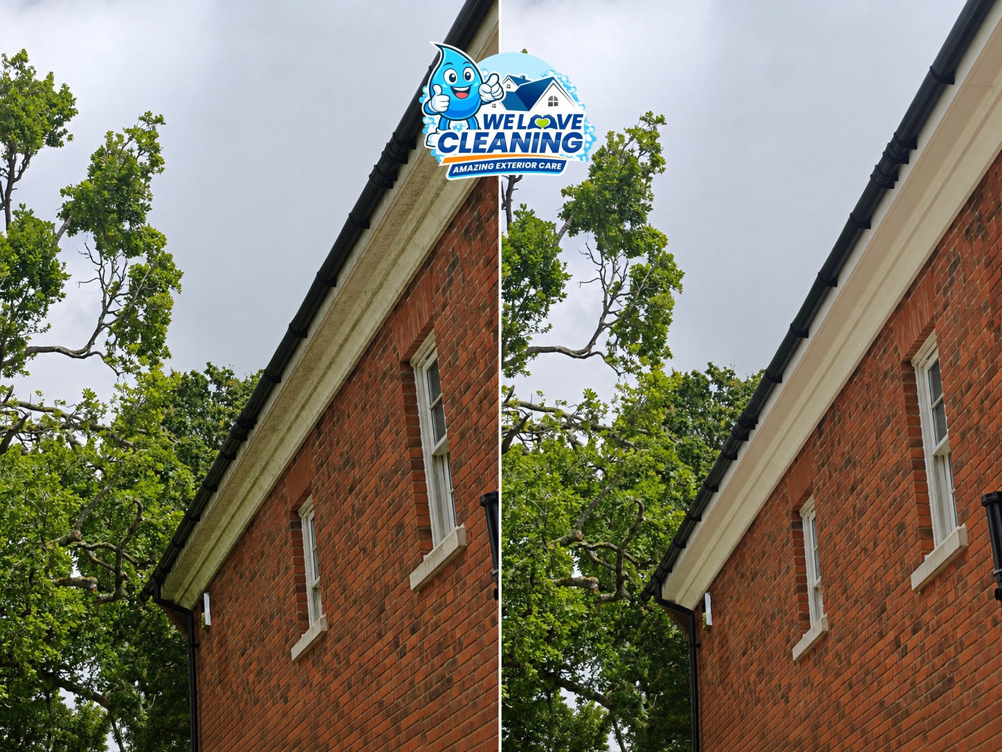 Before and after cleaning result